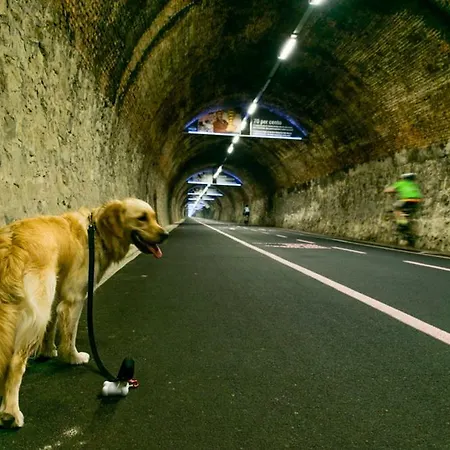 Firenze